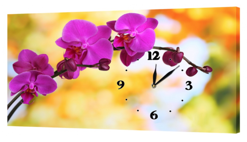 Настенные часы ProfART на холсте 30 x 53 см Нежные цветы (c32_S)