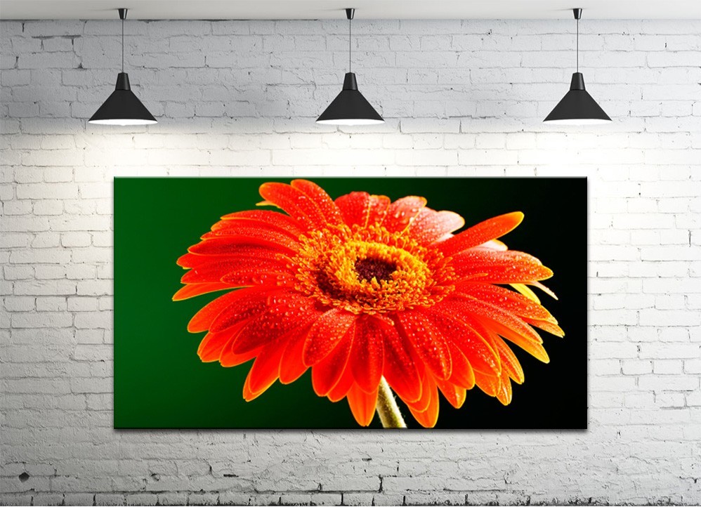 Картина на холсте ProfART S50100-c37 100 x 50 см Цветы (hub_THXR84999)