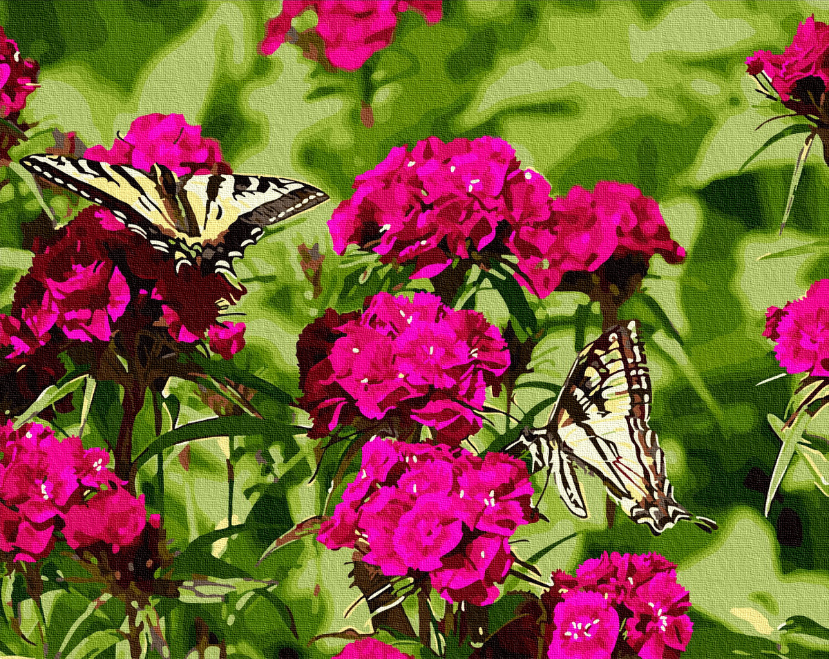Картина по номерам BrushMe "Бабочки на цветах" 40х50 см GX34272