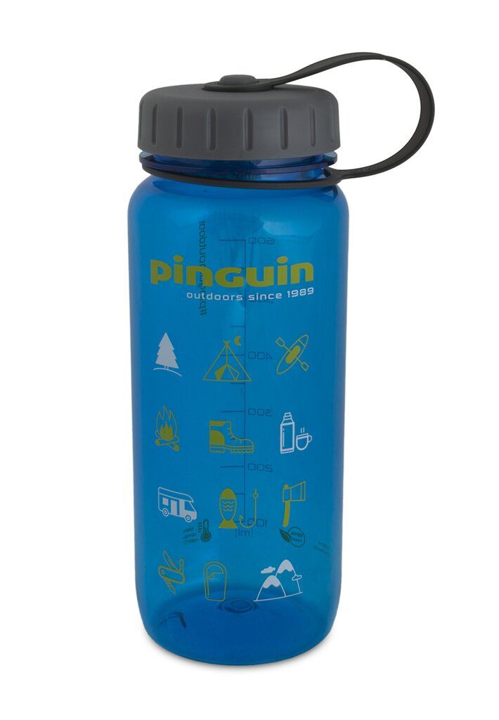 Фляга Pinguin Tritan Slim Bottle 2020 BPA-free 0.65 L Синий (PNG-804454)