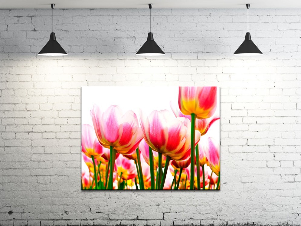 Картина на холсте ProfART S4560-c751 60 x 45 см Цветы (hub_Qyes75907)