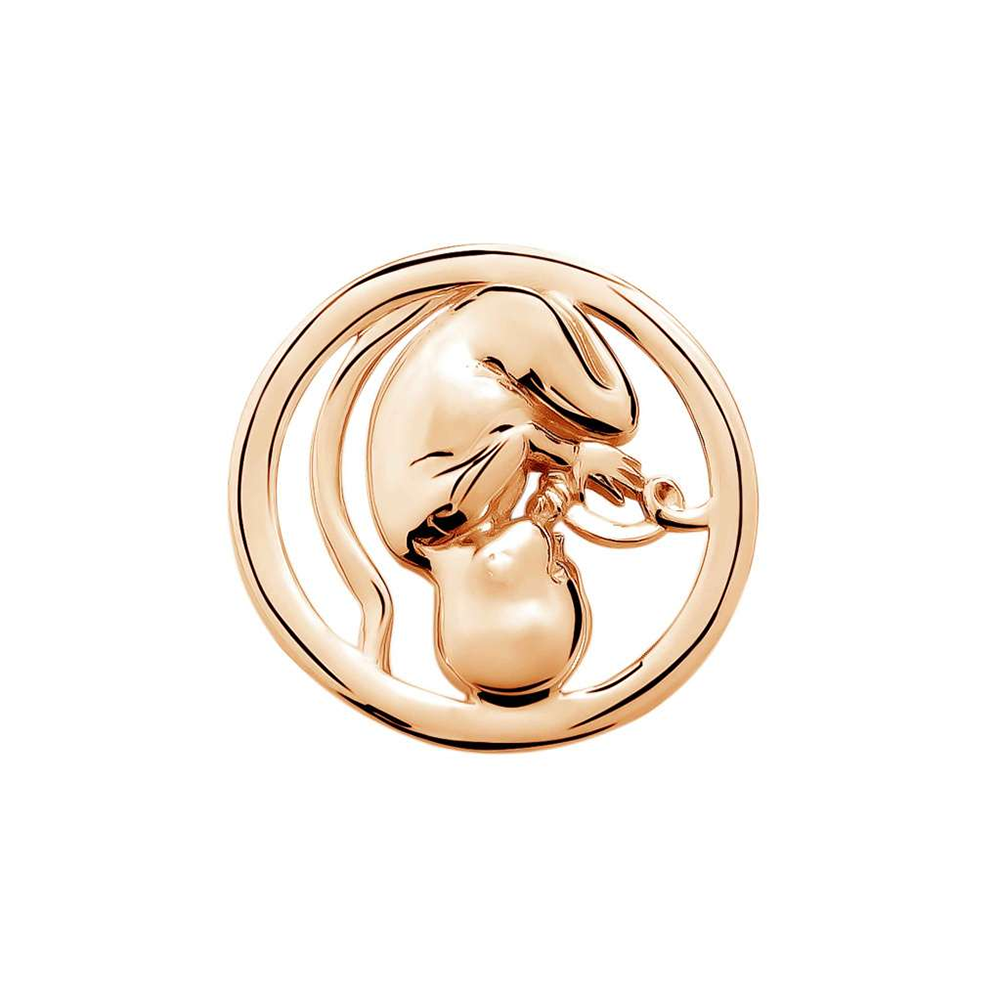 Значок BROCHE Жизнь внутри золотистый BRGV112784