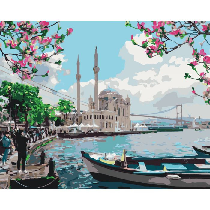 Картина по номерам Турецкое побережье  40х50 см  (KHO2166)