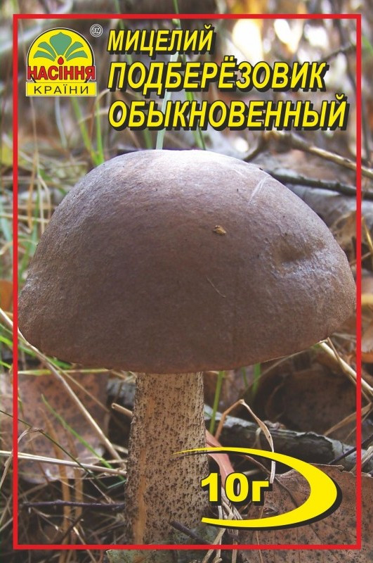 Мицелий грибов Насіння країни Подберезовик 10 г