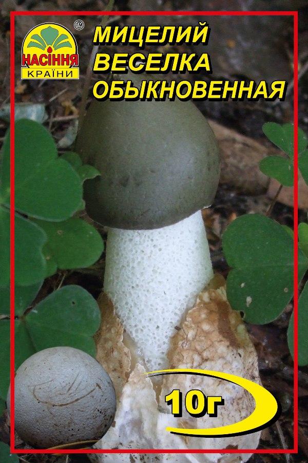 Міцелій грибів Насіння країни Веселка лікувальна 10 г