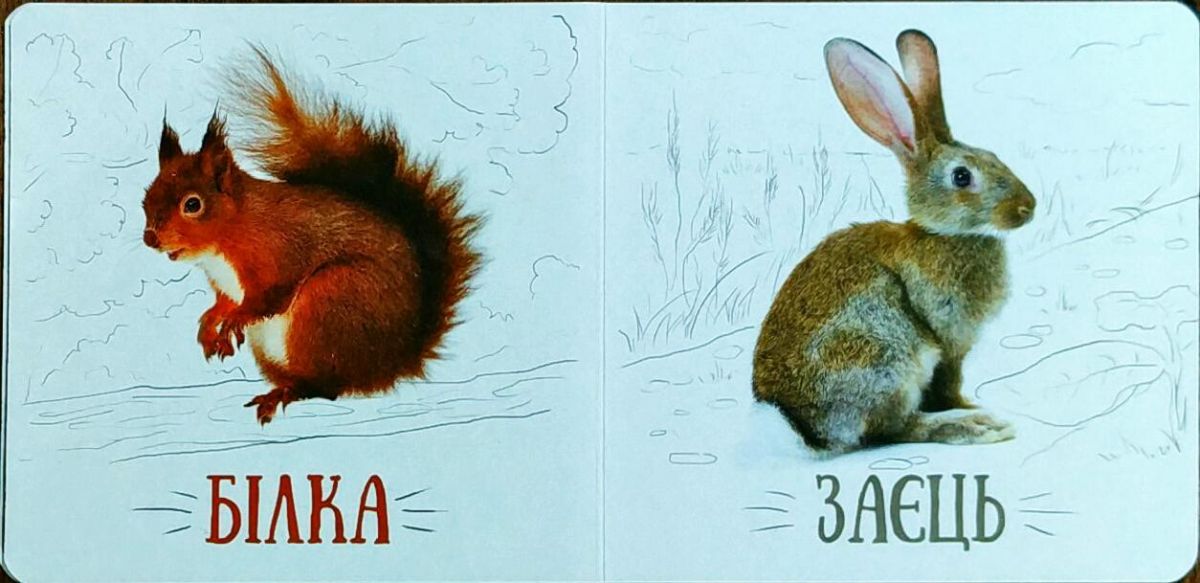 Зображення товару