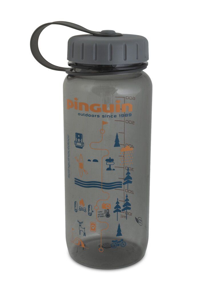Фляга Pinguin Tritan Slim Bottle 2020 BPA-free 0.65 L Сірий (PNG-804485)