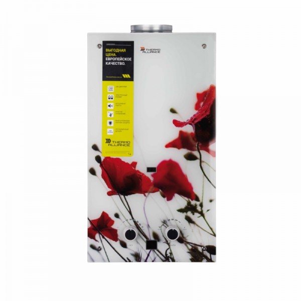 Колонка газова димохідна Thermo Alliance JSD20-10GB 10 л (222027)
