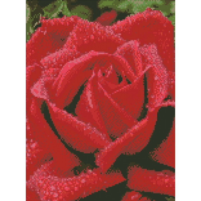Алмазная мозаика Идейка Душистая роза 30х40 см AM6100
