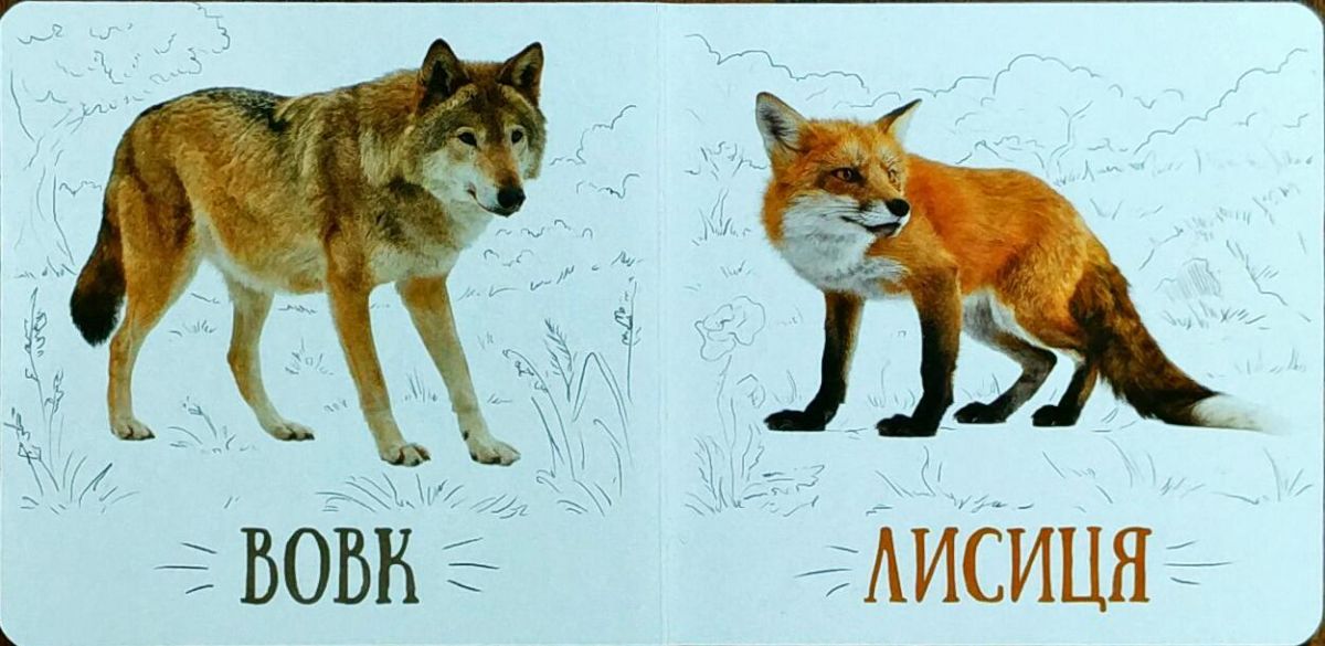 Зображення товару