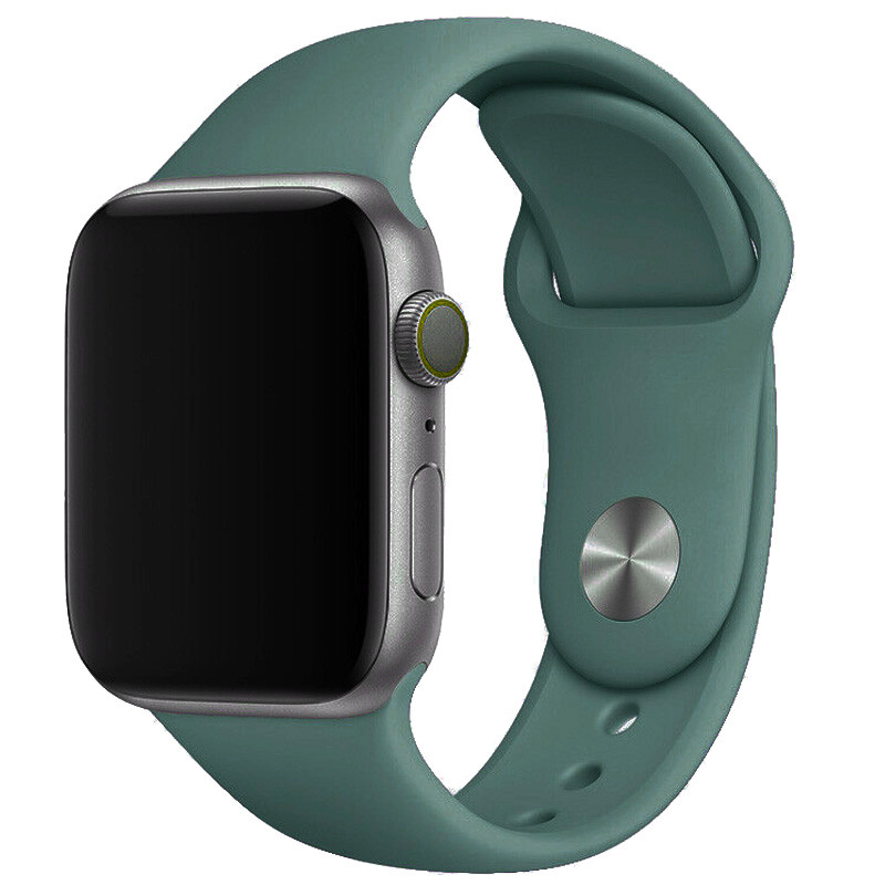 Силиконовый ремешок Epik для Apple watch 38mm / 40mm Зеленый / Pine green 1057992