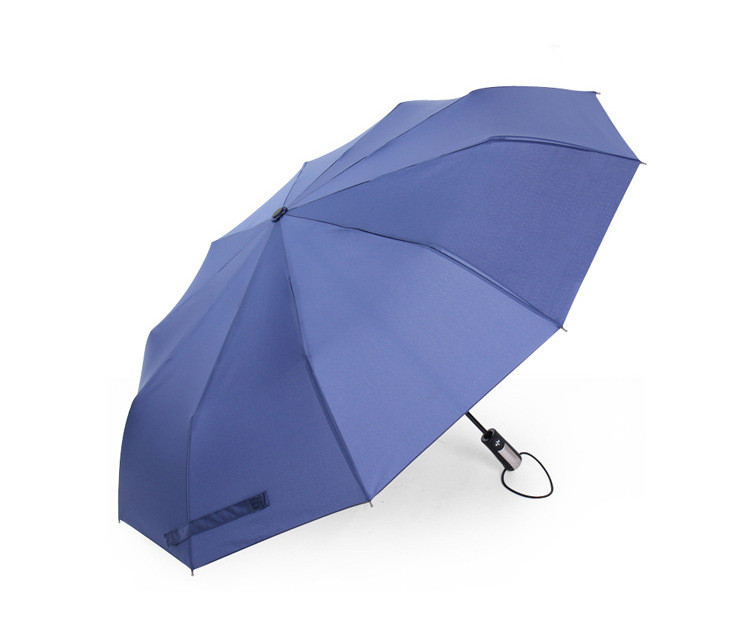 Чоловіча парасолька Синій (AL170016)