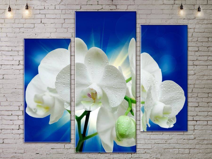 Модульная картина ArtStar цветы Орхидея ADFL0206 размер 150 х 180 см