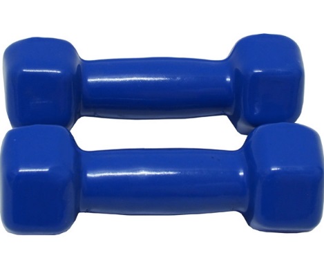 Гантели для фитнеса Profi 2x1 кг Синие (prf003)
