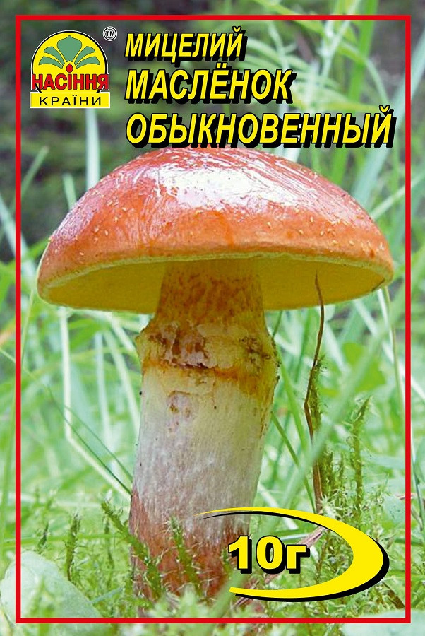 Міцелій грибів Насіння країни Маслянок 10 г