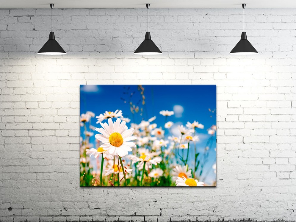 Картина на холсте ProfART S4560-C1317 60 x 45 см Цветы (hub_kKTb89975)