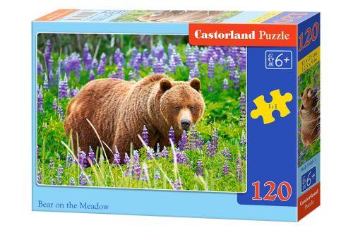 Пазлы Castorland Медведь 120 элементов
