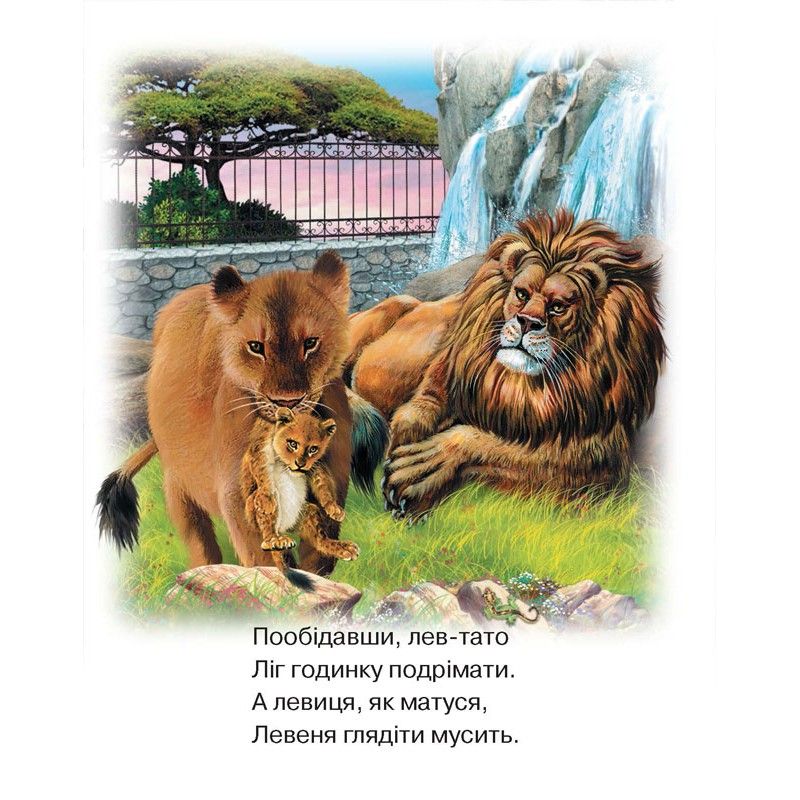 Зображення товару
