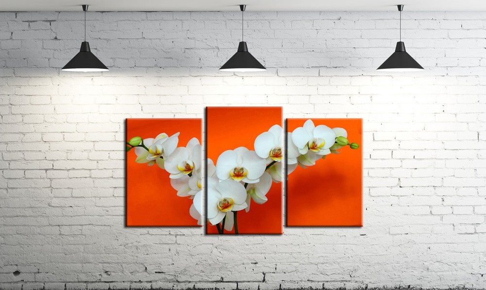 Модульная картина на холсте ProfART SM3-t14 100 х 53 см Белая орхидея (hub_WPWf75150)