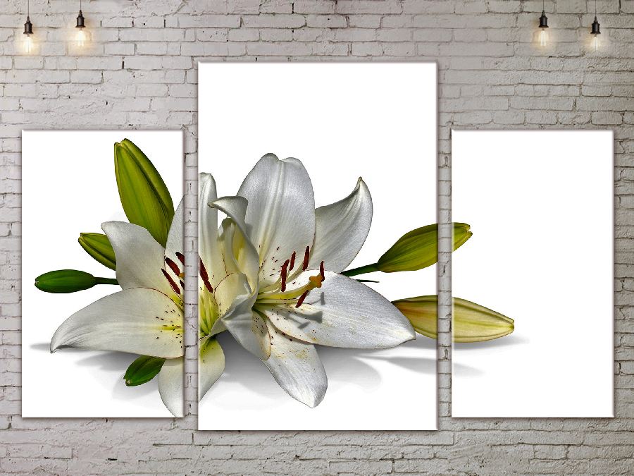 Модульная картина ArtStar цветы ADFL0067 размер 45 х 70 см