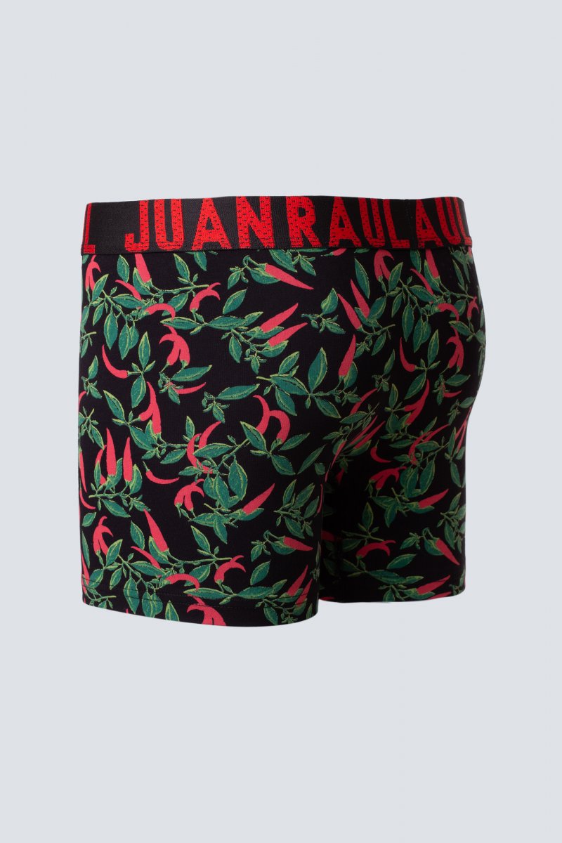 Трусы Trend Collection JUAN RAUL JR95 Разноцветный XL (80372)