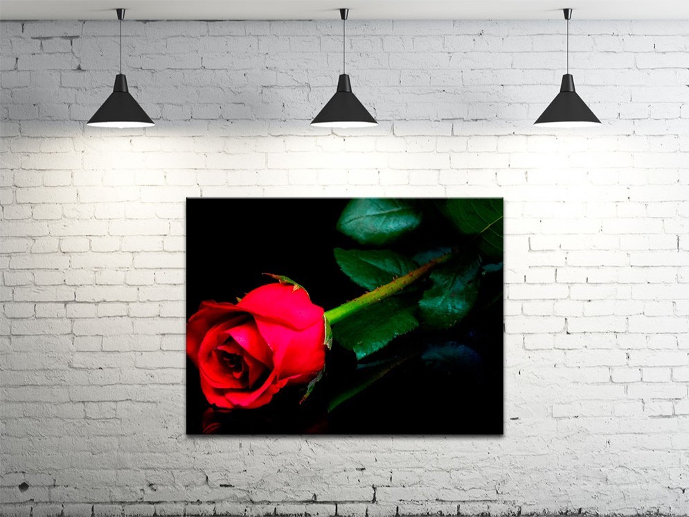 Картина на холсте ProfART S4560-c926 60 x 45 см Роза (hub_INuL41046)