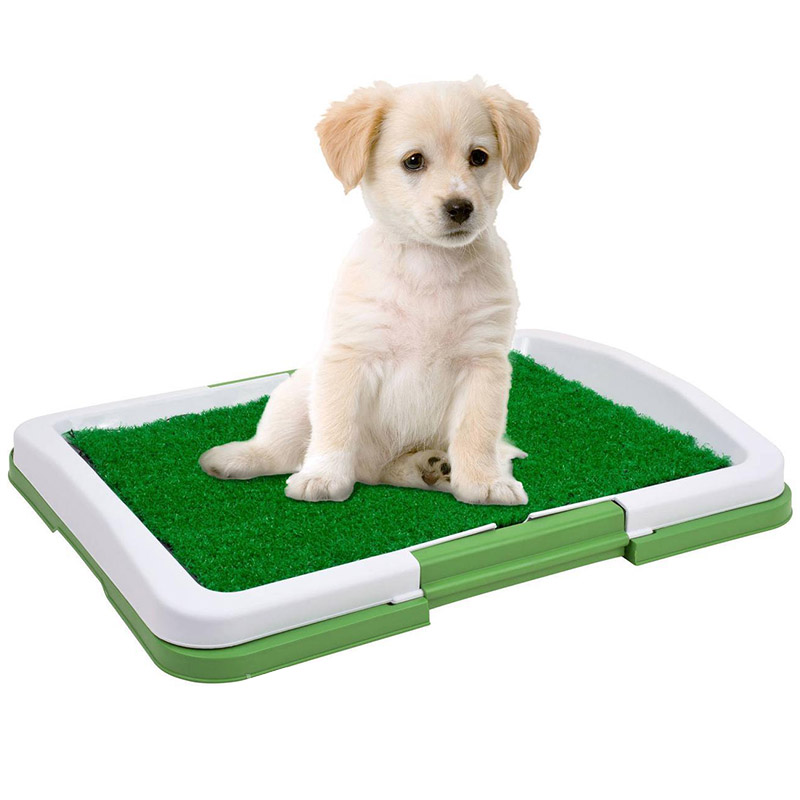Туалет для собак Puppy Potty Pad Зелений (3006-8664а)