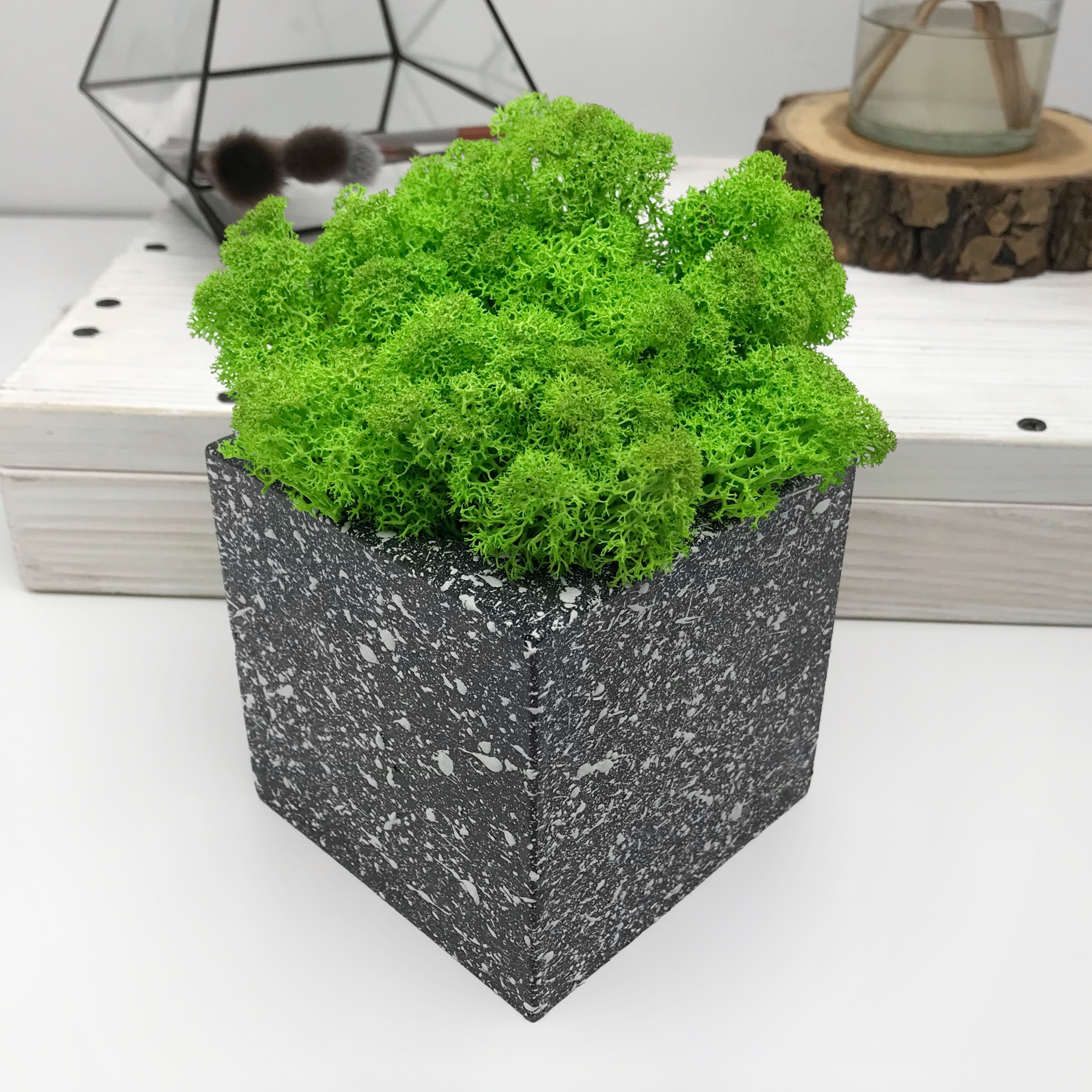 Декор гіпсове кашпо із стабілізованим мохом KoTs Куб 19х15 см Чорний/білий