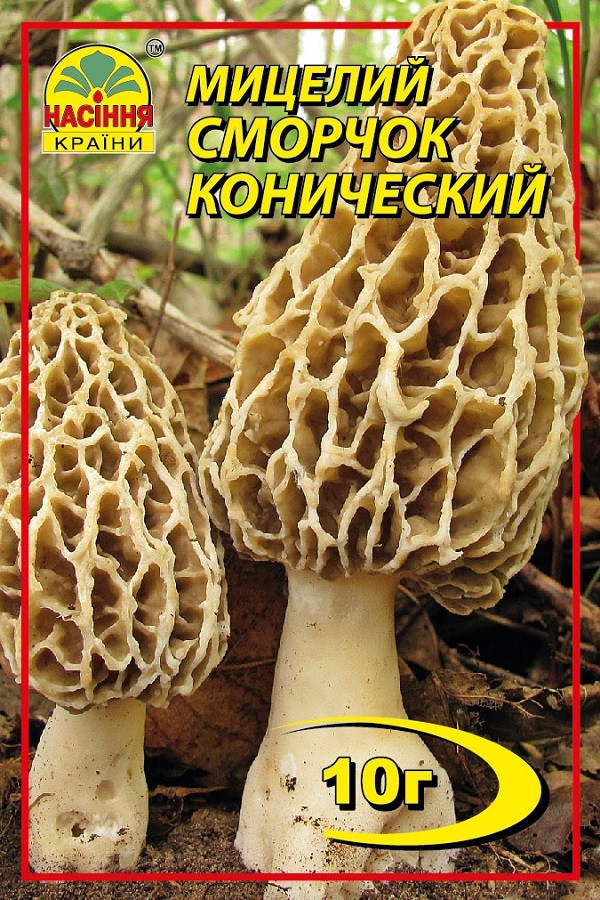 Мицелий грибов Насіння країни Сморчок конический 10 г