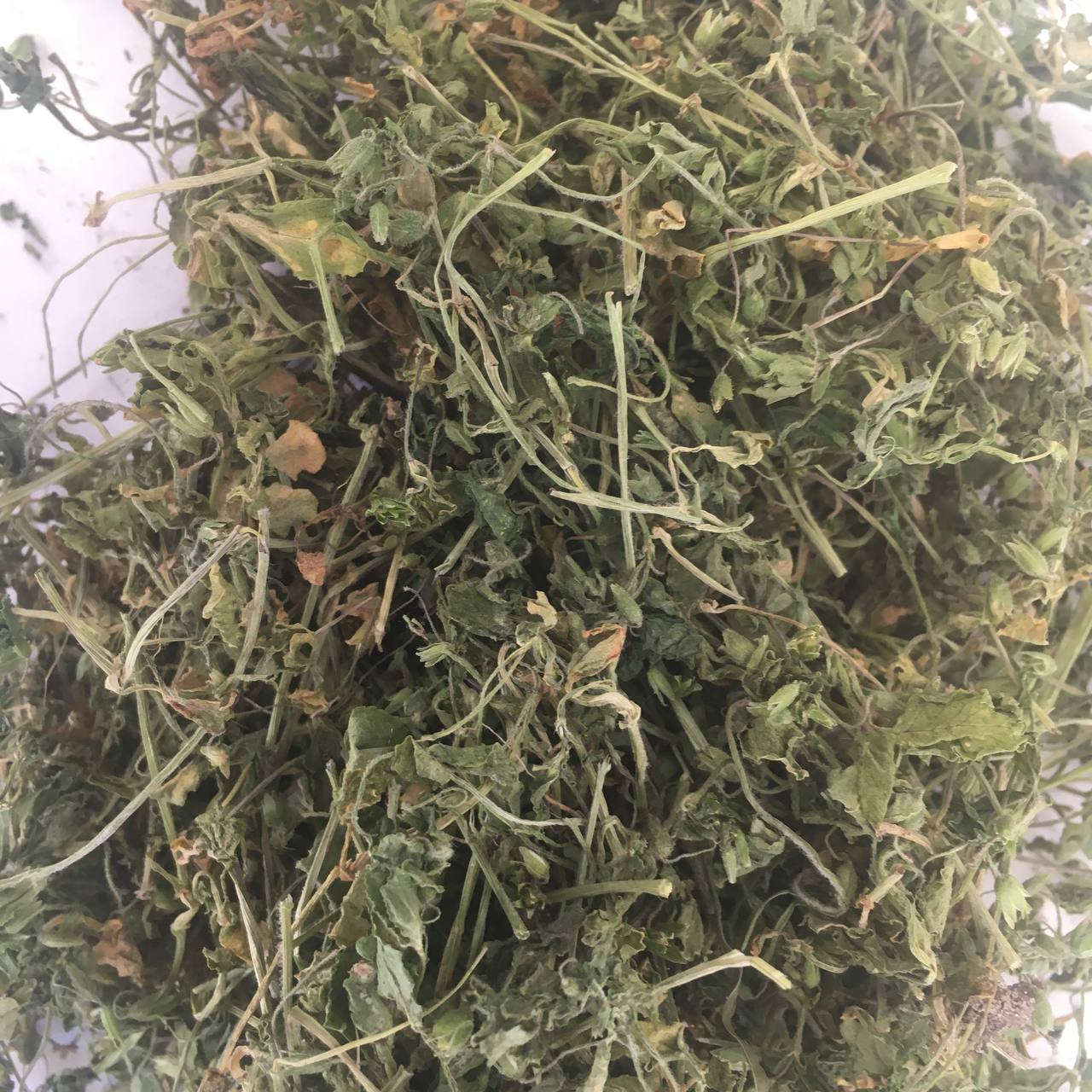 Яснотка зеленчуковая (зеленчук жовтий) Карпаты 50 г