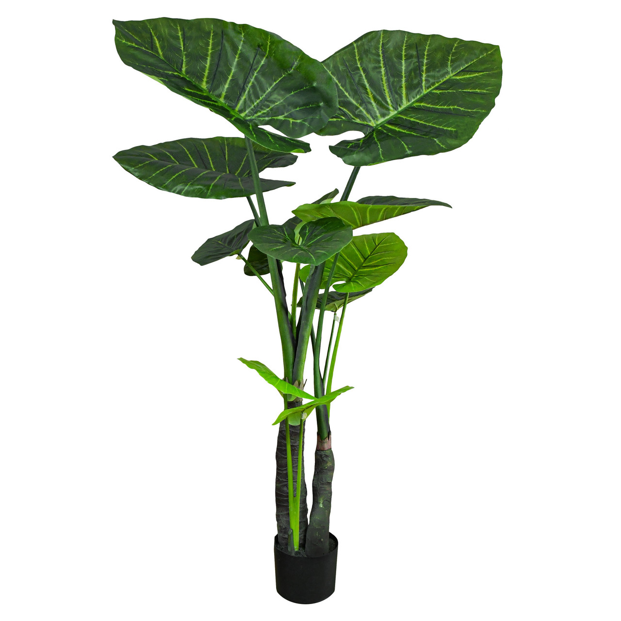 Штучна рослина Engard Taro, 180 см (TW-28 )