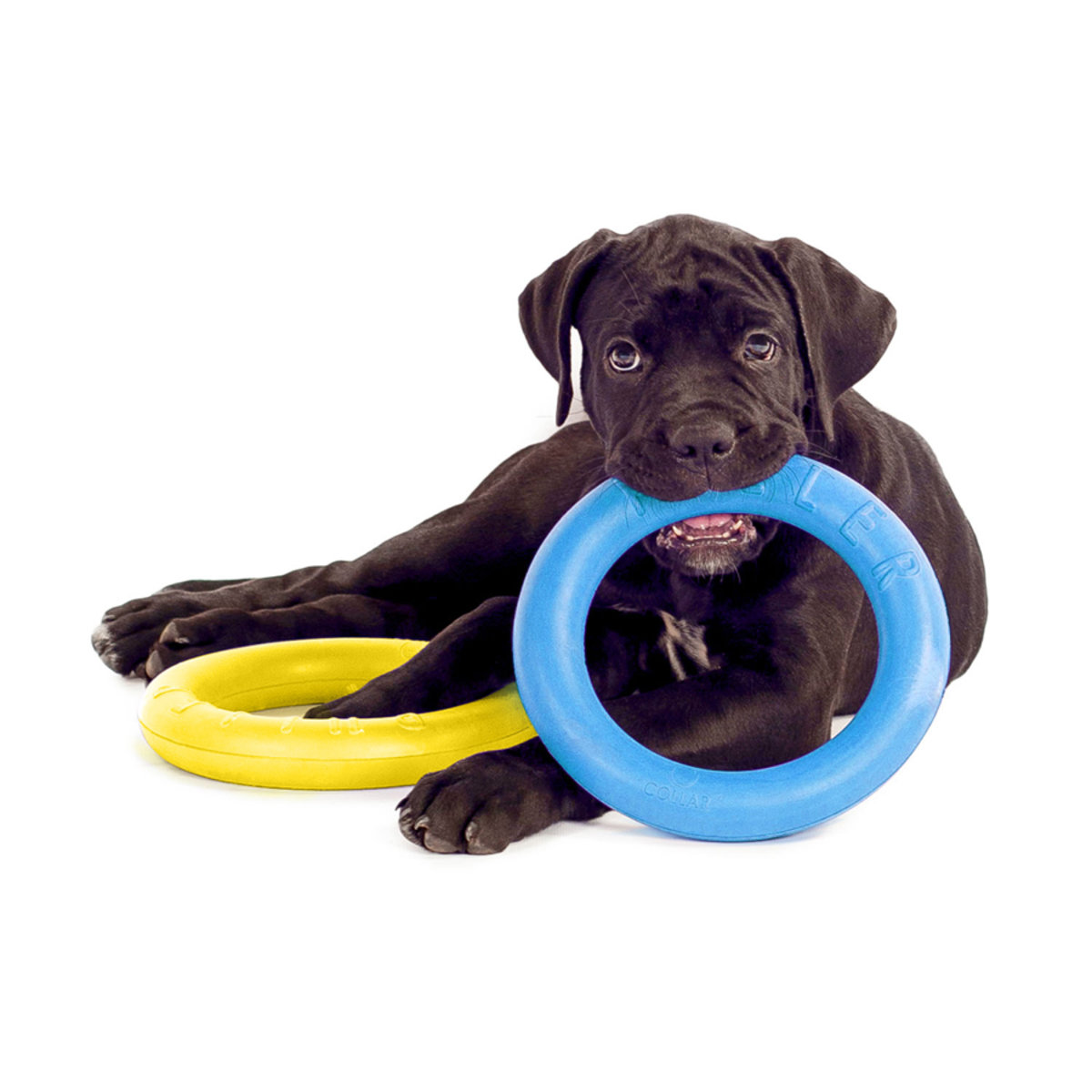 Игрушка для собак Collar PULLER Midi 2 шт 20 см Желто-синий (Collard6488) (15849)