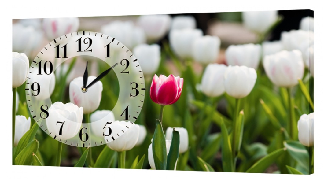 Настінний годинник ProfART на полотні 30 x 53 см Тюльпани (C13_S)