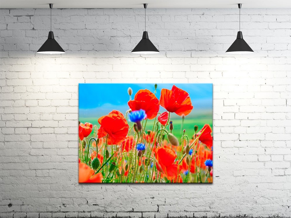 Картина на холсте ProfART S4560-c660 60 x 45 см Цветы (hub_GikQ78949)