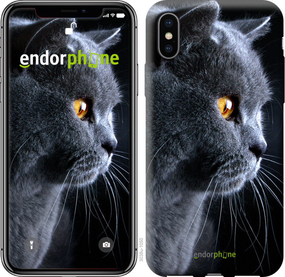 Силиконовый чехол Endorphone на iPhone XS Красивый кот (3038u-1583-26985)  купить Киев и Украина