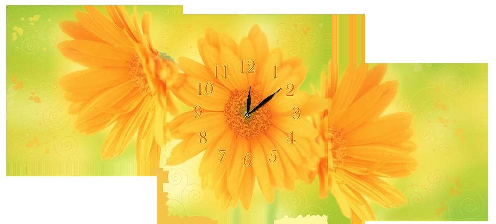 Настінний годинник Декор Карпати s27T Літні квіти Зелений/Жовтий (jAbN12716)