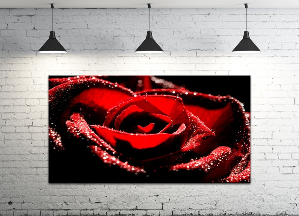Картина на холсте ProfART S50100-c12 100 x 50 см Роза (hub_uXJS37085)
