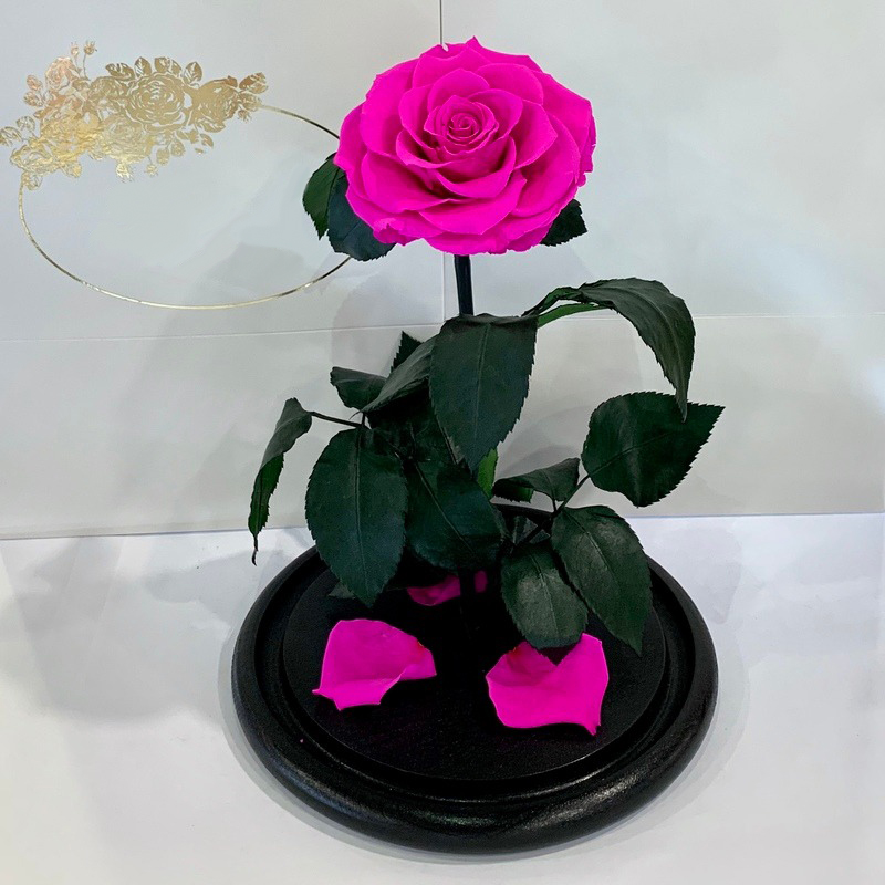 Троянда у колбі велика під скляним куполом барвиста квітка оригінальний подарунок дівчині Рожева