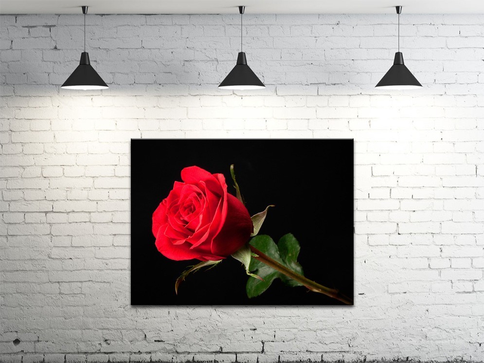 Картина на полотні ProfART S4560-c925 Роза 60 x 45 см (hub_ReVz47077)