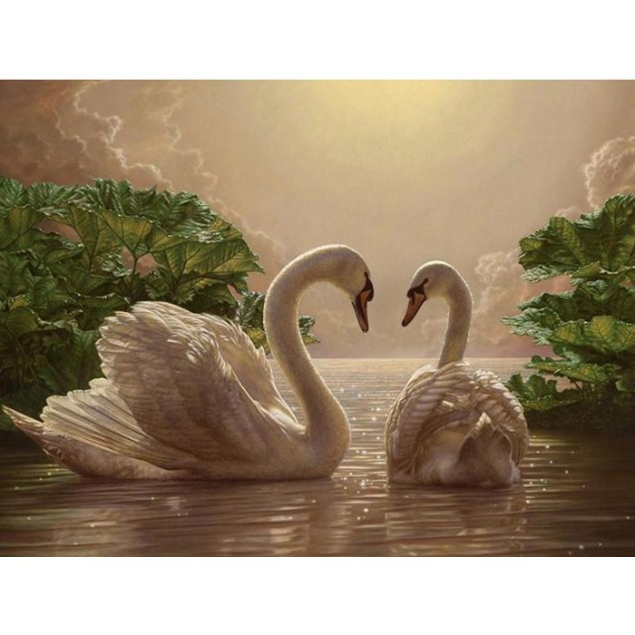 Картина по номерам Идейка "Пара лебедей" 40х50см KHO301
