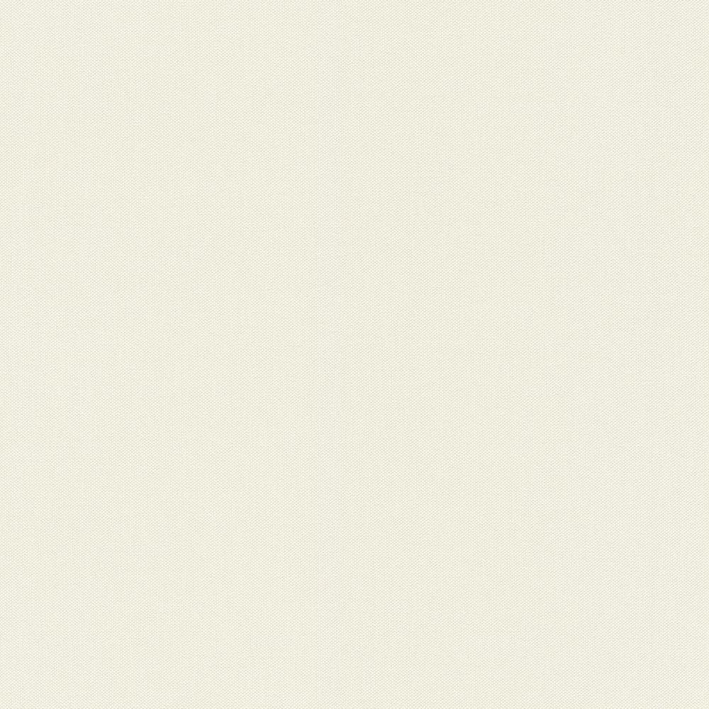 Вінілові шпалери Rasch Poetry на флізеліновій основі Білий (424010)