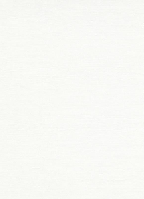 Виниловые обои на флизелиновой основе Erismann Code Nature 12112-01 Белый