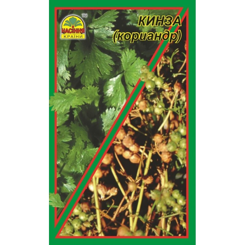 Насіння кінзи Насіння країни 3 г (1137298806)