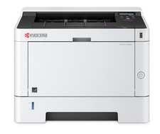 Принтер Kyocera Ecosys P2040dn (1102RX3NL0) (6569983)