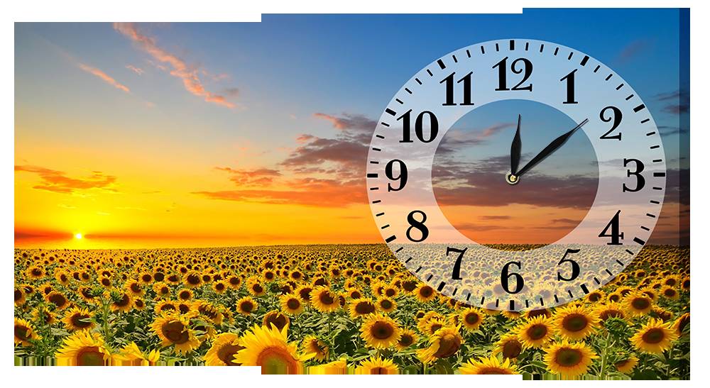 Настінний годинник на полотні Декор Карпати Поле Соняшників (ViSP17654)