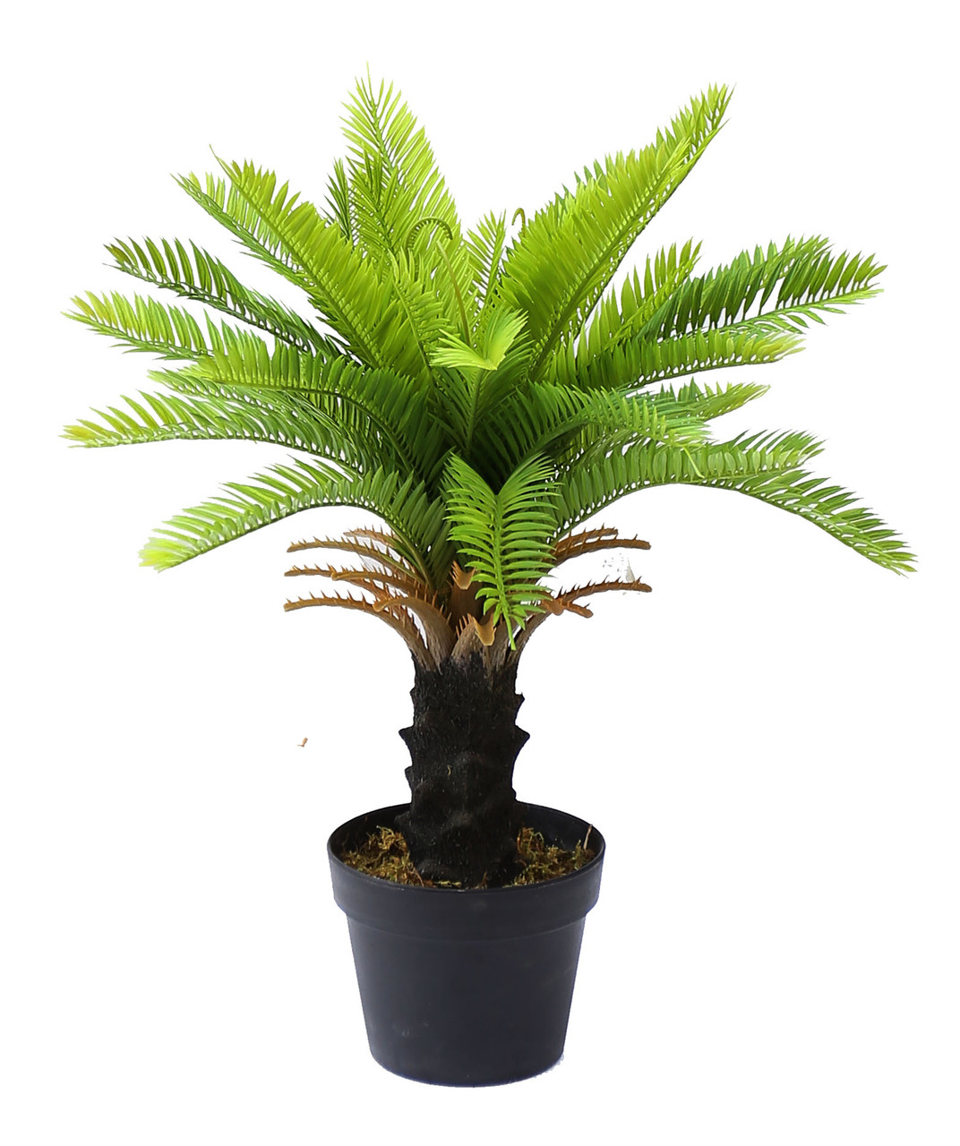 Искусственное растение Engard Cycas Palm, 60 см (DW-24)