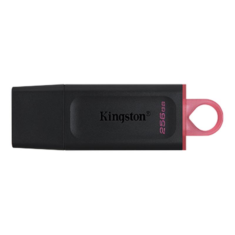 Флеш-накопитель USB3.2 256GB Kingston DataTraveler Exodia Black/Pink (DTX/256GB)