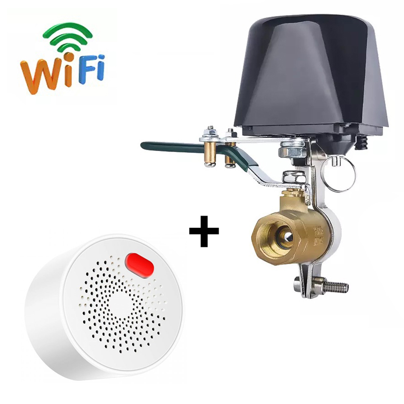 WiFi Комплект захисту від витоку газу Digital Lion