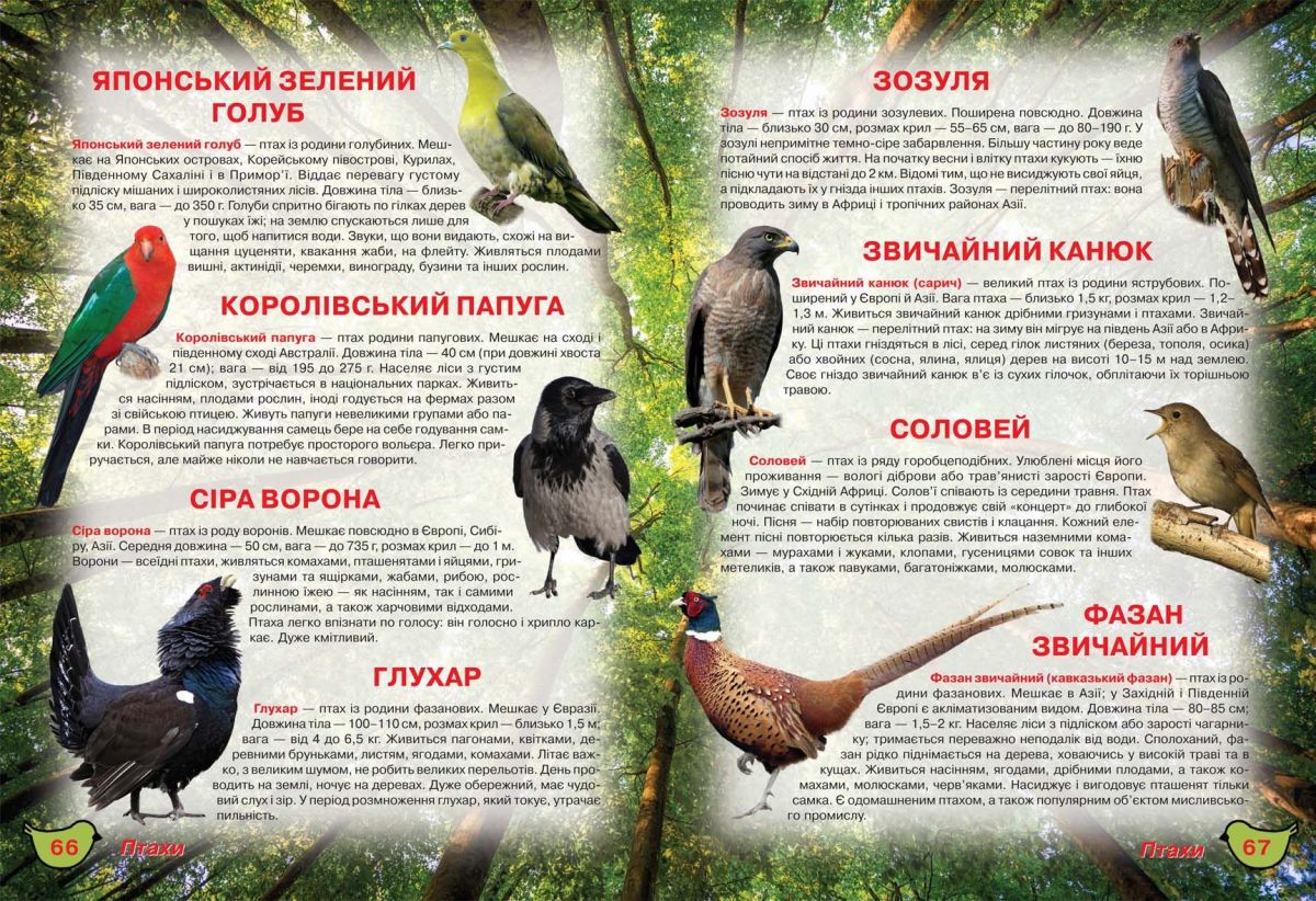 Зображення товару