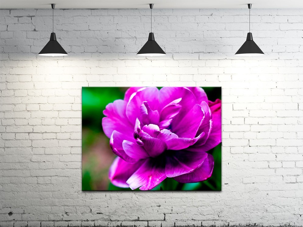 Картина на полотні ProfART S4560-c1552 60 x 45 см Квітка (hub_ZlEP56983)